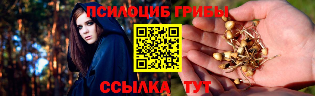 Псилоцибиновые грибы Psilocybe  Вход с VPN  Барнаул 